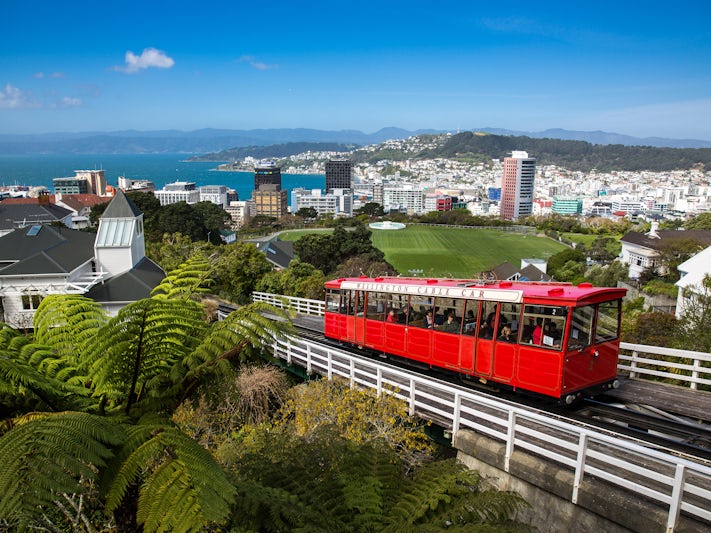 Wellington (Photo:Victor Maschek/Shutterstock)