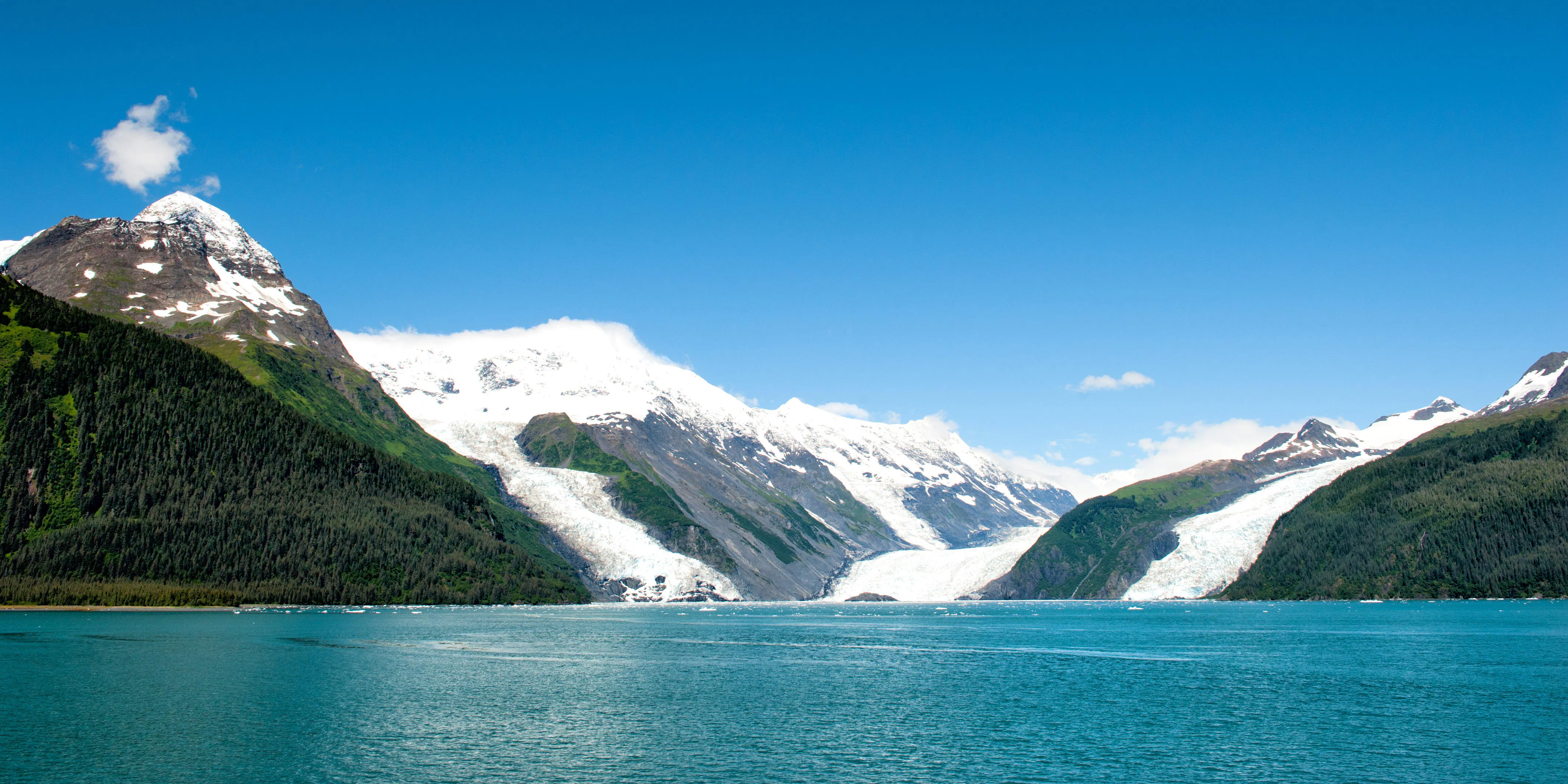 carnival cruise vs princess