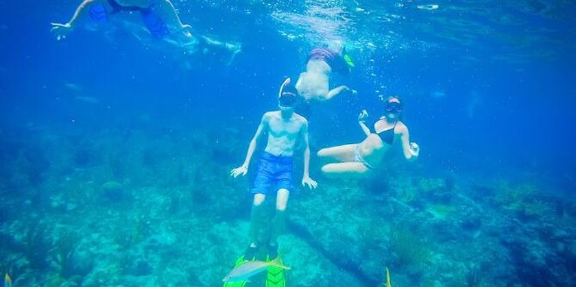 Snorkeling in Freeport, Bahamas (Photo: Viator)