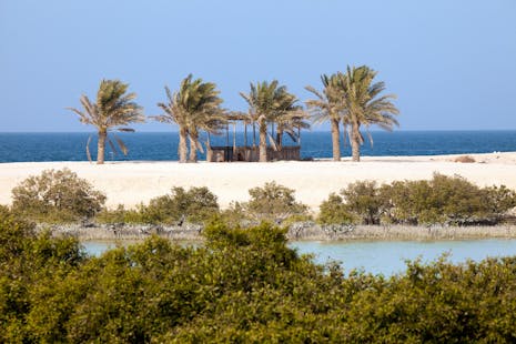 Sir Bani Yas Is port