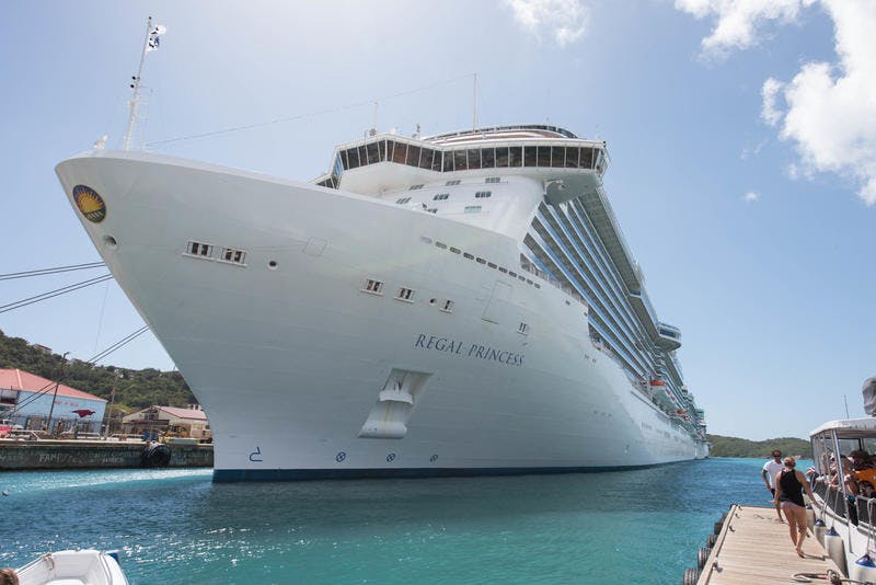 cruise critic princess board