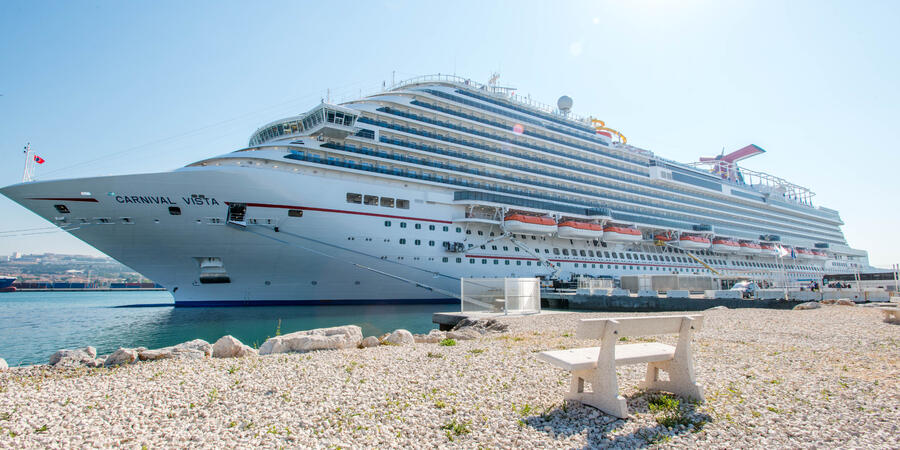 luggage delivery to cruise ships