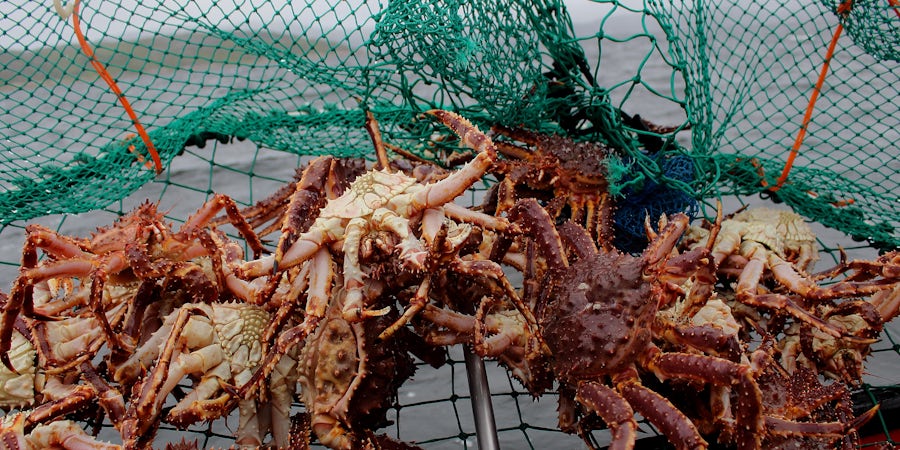 King Crab Fishing in Norway on a Cruise
