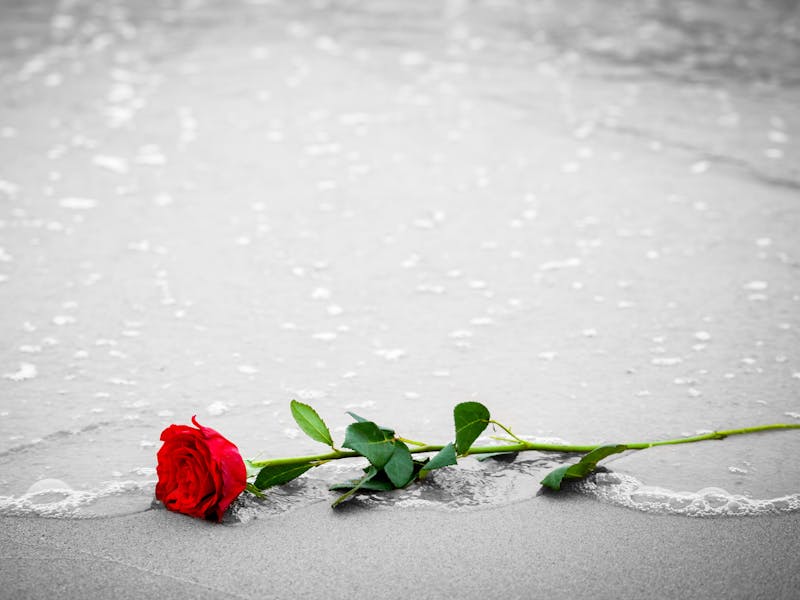 When A Passenger Dies At Sea What You Need To Know Cruises