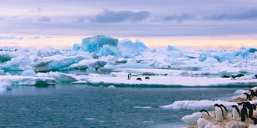 New Antarctica Cruises to Depart from New Zealand and Australia