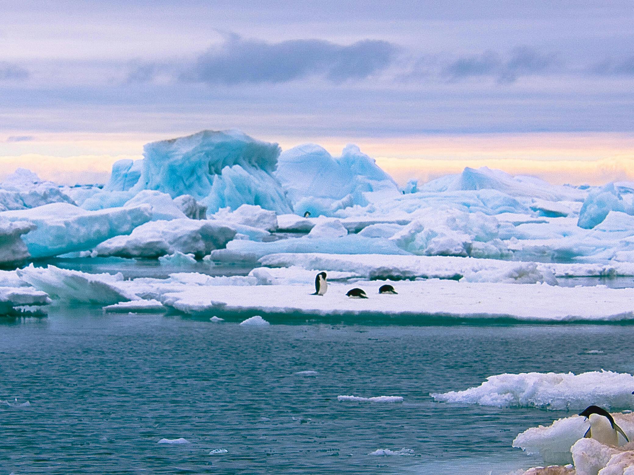 25 BEST Antarctica Cruises 2023 Prices Itineraries Cruises To   Image X 53 