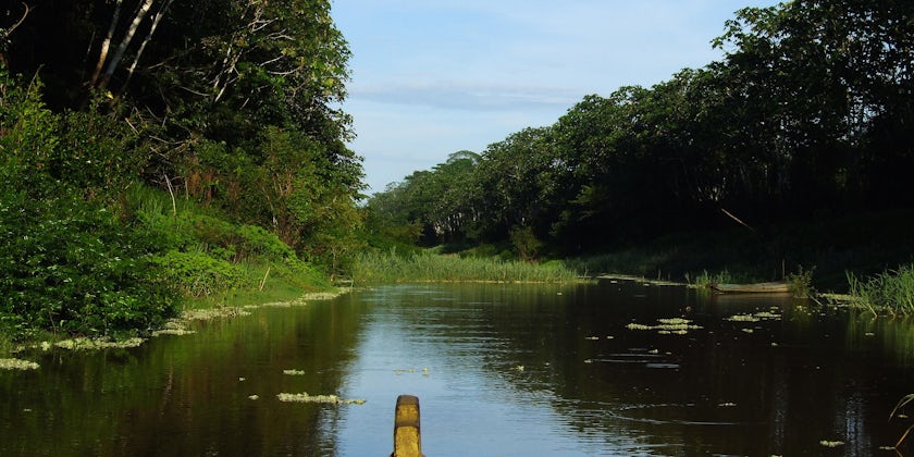 Amazon River (Photo: Maciek A/Shutterstock)