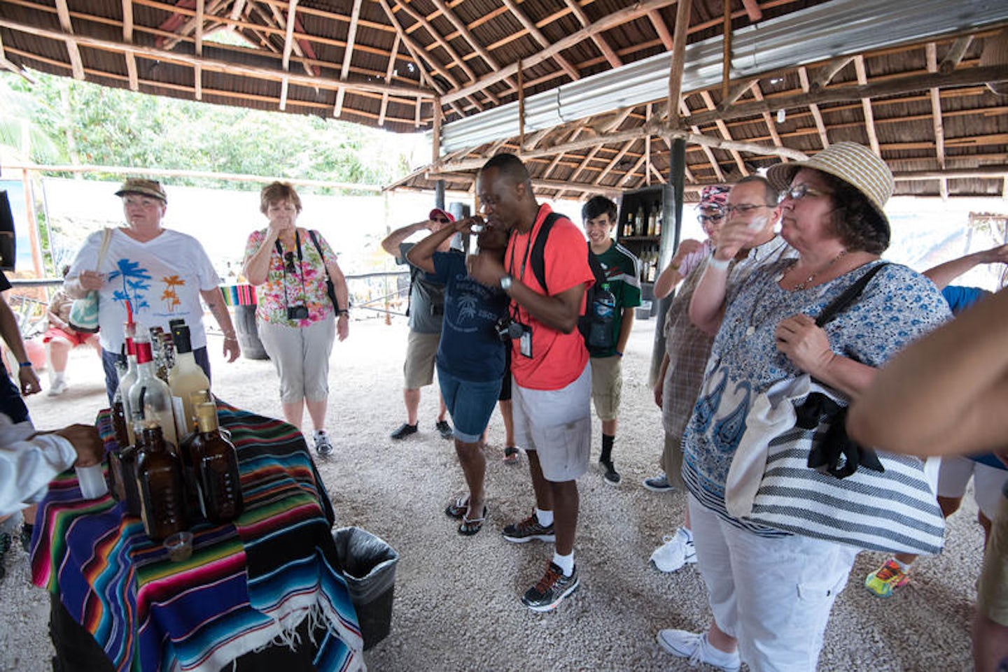 Cozumel Excursion - Living History Mayan Traditions and Island Tour at Cozumel Port