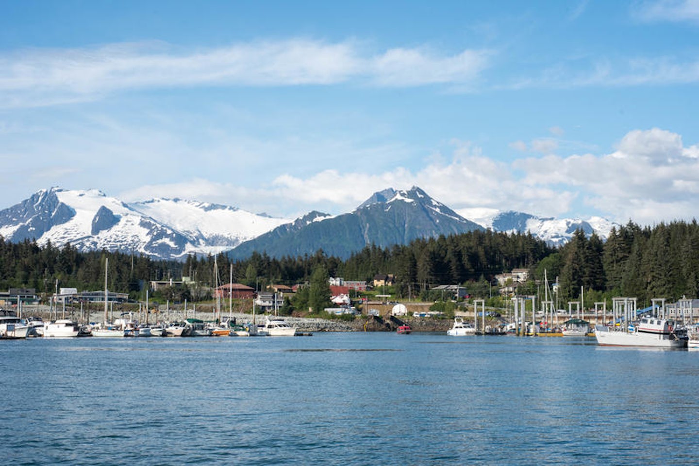 Whale Watch at Juneau Port