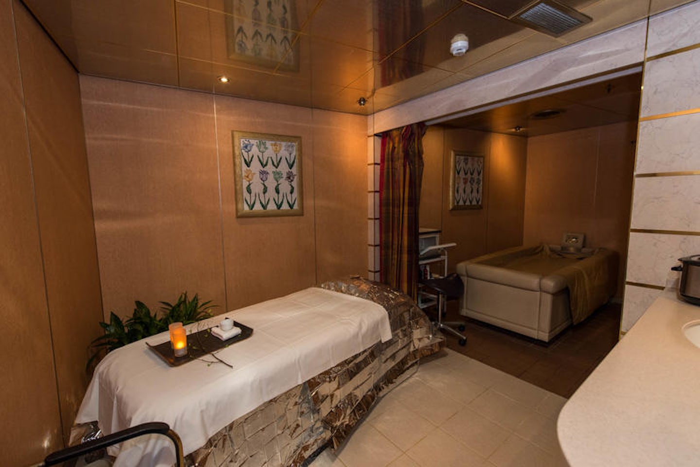 The Greenhouse Spa on Noordam