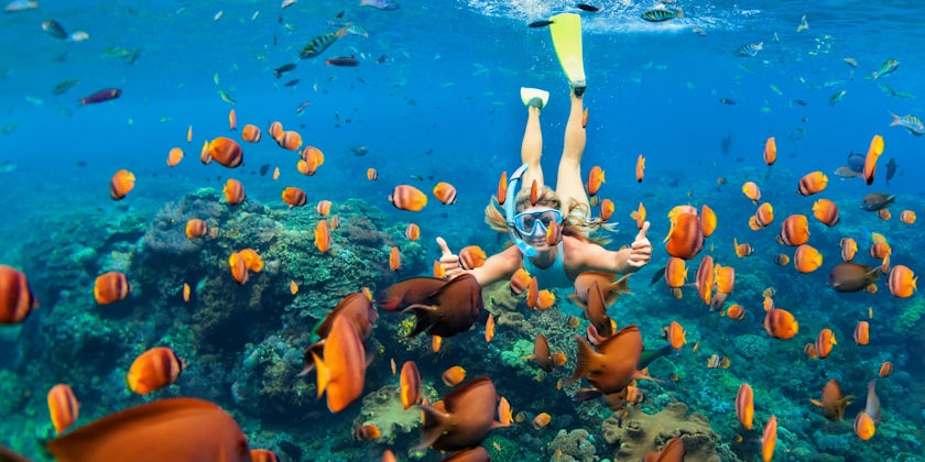 Snorkeling in the Caribbean (Photo: Tropical studio/Shutterstock.com)