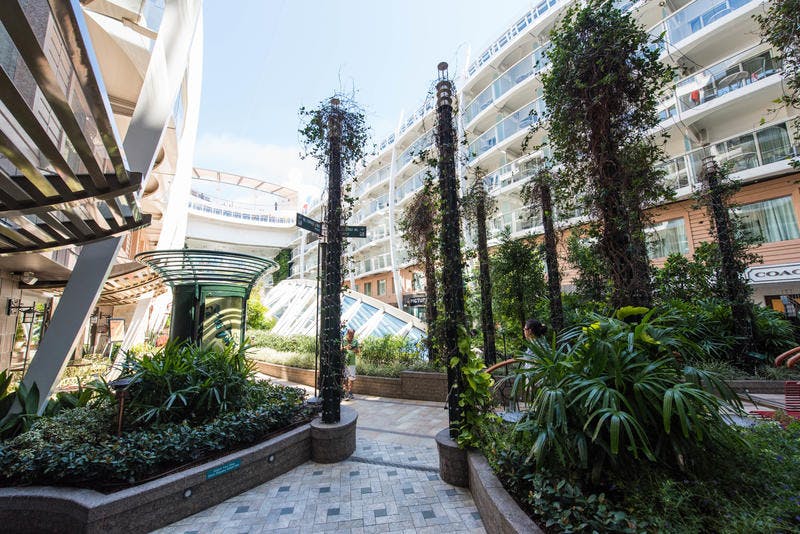 Central Park on Royal Caribbean Oasis of the Seas Cruise Ship - Cruise