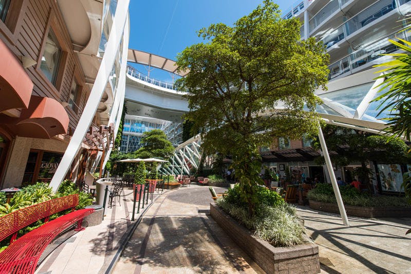 Central Park on Royal Caribbean Oasis of the Seas Cruise Ship - Cruise