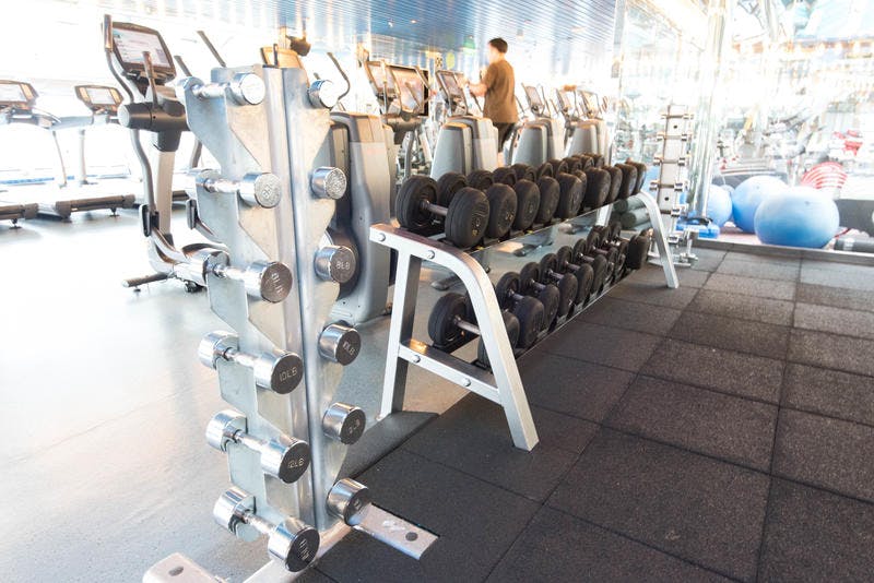 carnival cruise gym