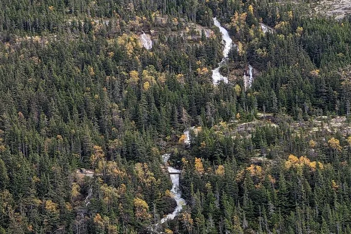 Skagway Shore Excursion Reviews - Cruise Critic
