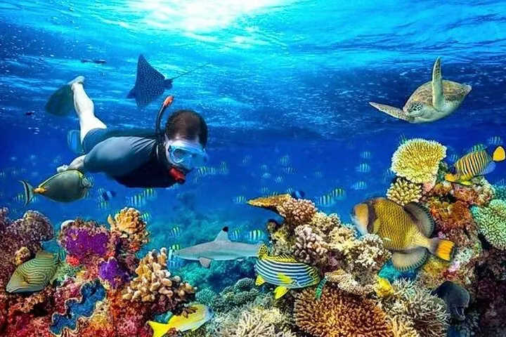 Roatan Shore Excursion Reviews - Cruise Critic
