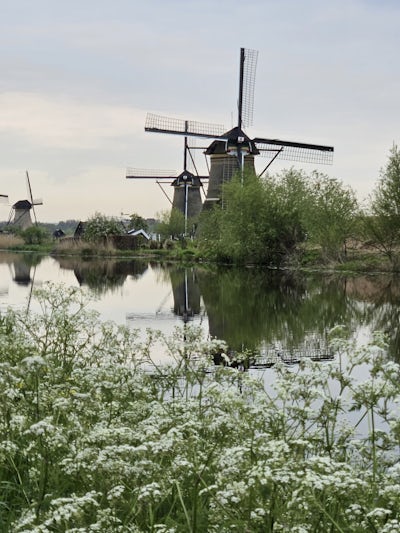 Windmills of Kinderdijk, in The Netherlands