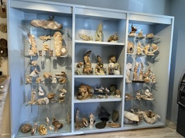 Relics (fossils) collection - Ketchikan