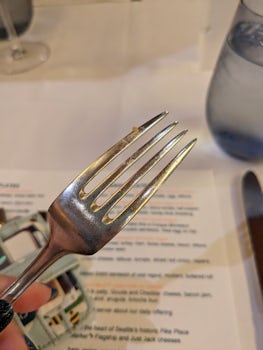 Dirty Cutlery on the Eurodam