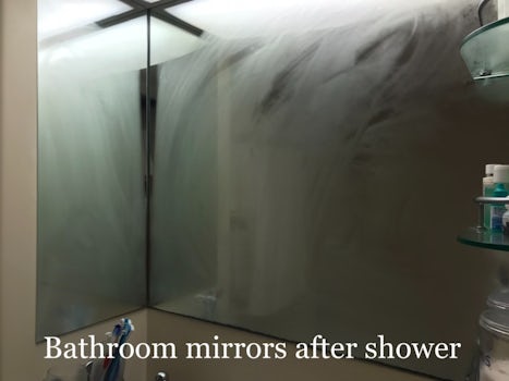 bathroom ventilation not working - mirrors fogged up after each shower, needed to open the bathroom door to air out the bathroom at least 15 min prior to able to use vanity mirror
