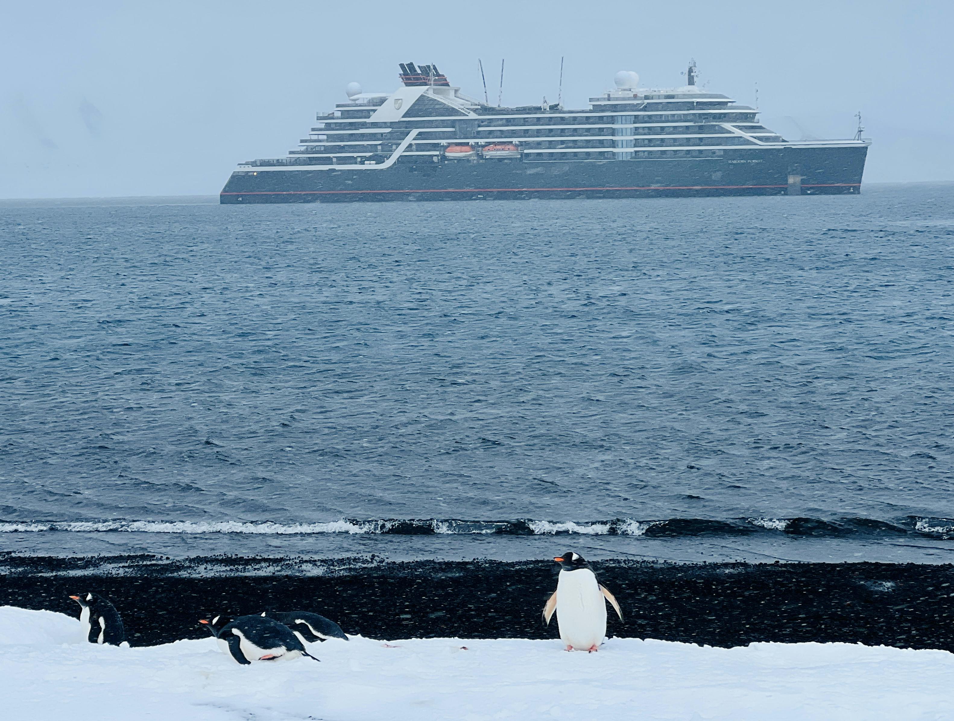 Seabourn Antarctica Cruise Reviews (2024 UPDATED) Ratings of Seabourn