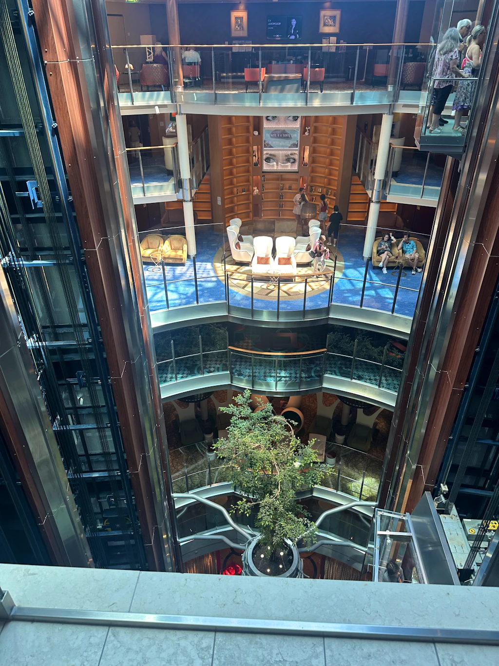 Celebrity Reflection Cruise Reviews | Ratings & Insights from Members