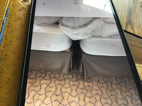 Mattresses not zipped together resulting in wide gap