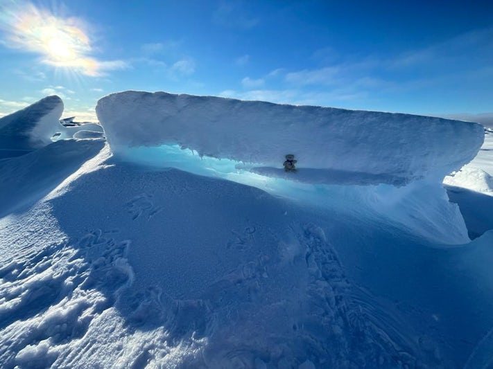 Zottie in the Beaufort Sea ice