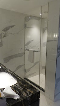 Shower in Suite