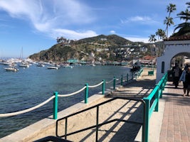 Avalon, Catalina