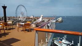 This pesky seagull was waiting for his chance to steal some food.  Taken on the Aquavit Terrace on the Viking Star. 
