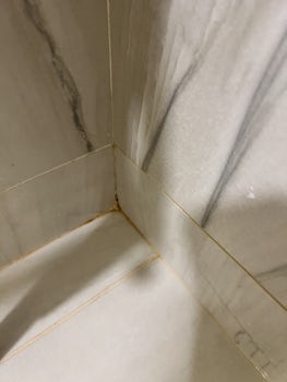 Dirty stateroom shower