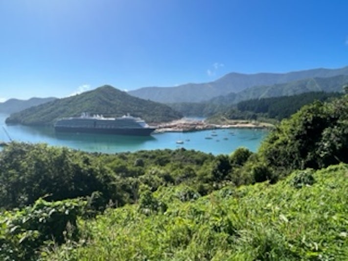View of ship in Port (Picton)