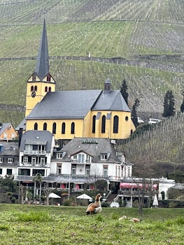 Church along the Rhine river