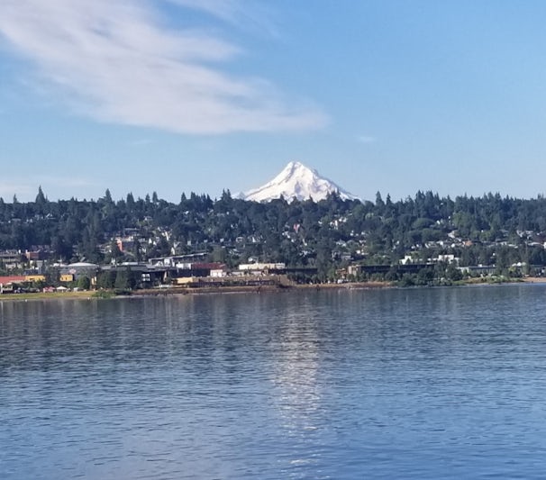 This photo was taken of Mt. Hood from our balcony as we were approaching Hood River. What an impressive view of the mountain! What an impressive town!