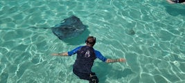 Snorkeling with stingrays in Moorea. 