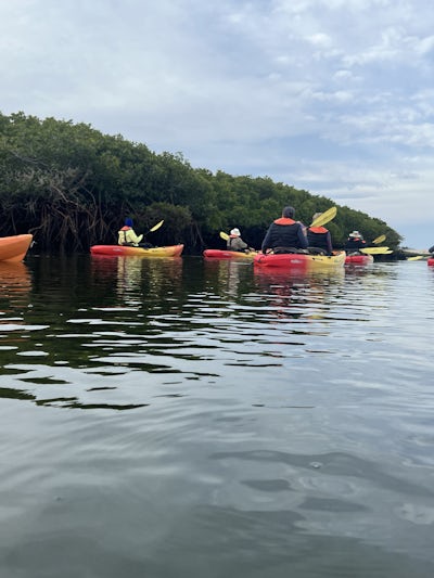 Kayaking the mangroves 