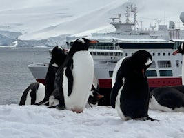 Penguins and ship, Antarctica 