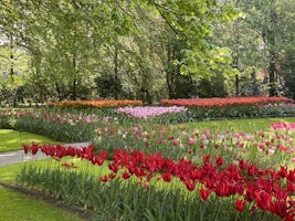 Every part of the gardens on Kukenhof's 79 acres are beautiful!