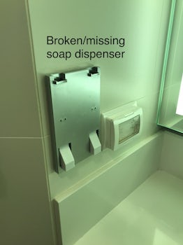 Broken soap dispenser 