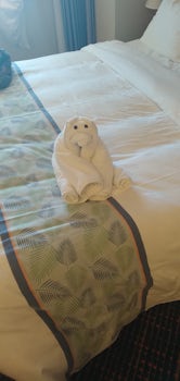 Cute towel animals 