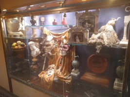 One of many World themed Explorer display cases throughout the ship