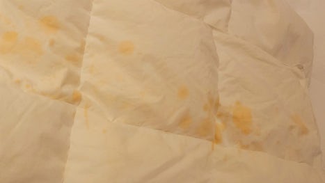 Bed stains