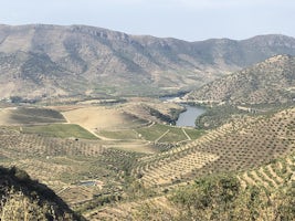 View of countryside on the Douro