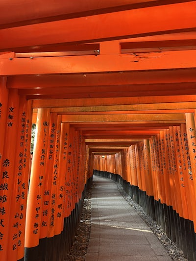 Tori gates Kyoto