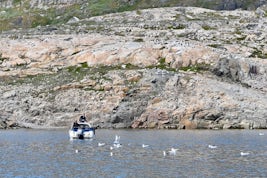 Fishing in Hvalsey Fjord.