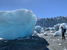 Lamplugh Glacier Shore Walk