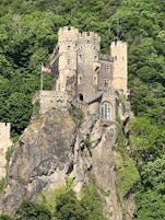 Rhine River castle. One of many.