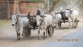 Village transportation
