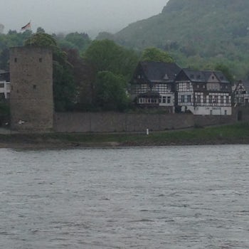 Cruising along the Rhine